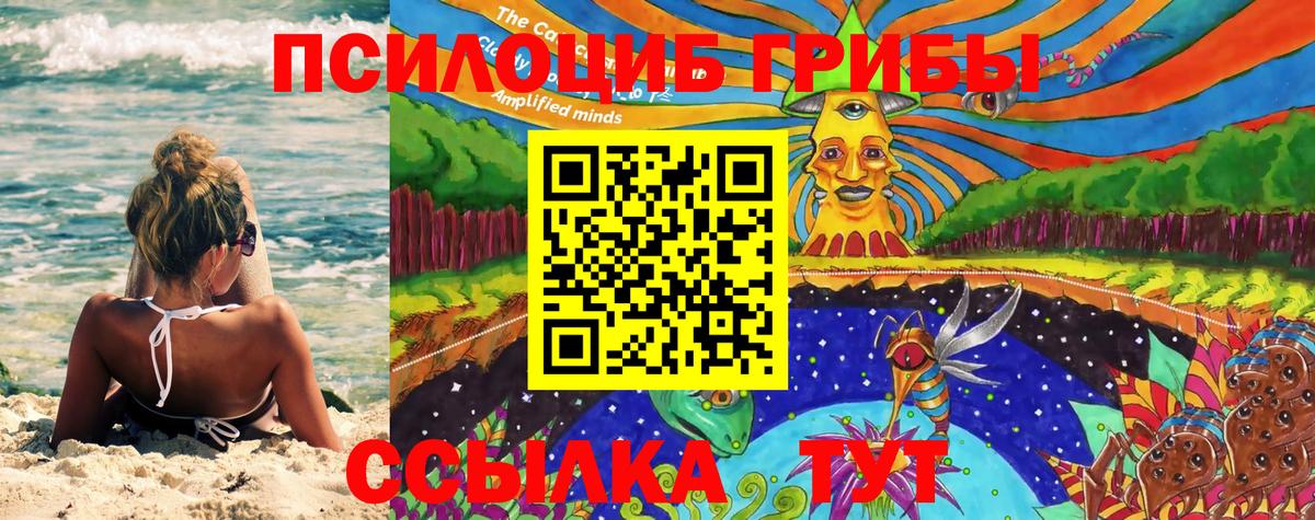 Псилоцибиновые грибы Psilocybe  Вход с VPN  Сальск 